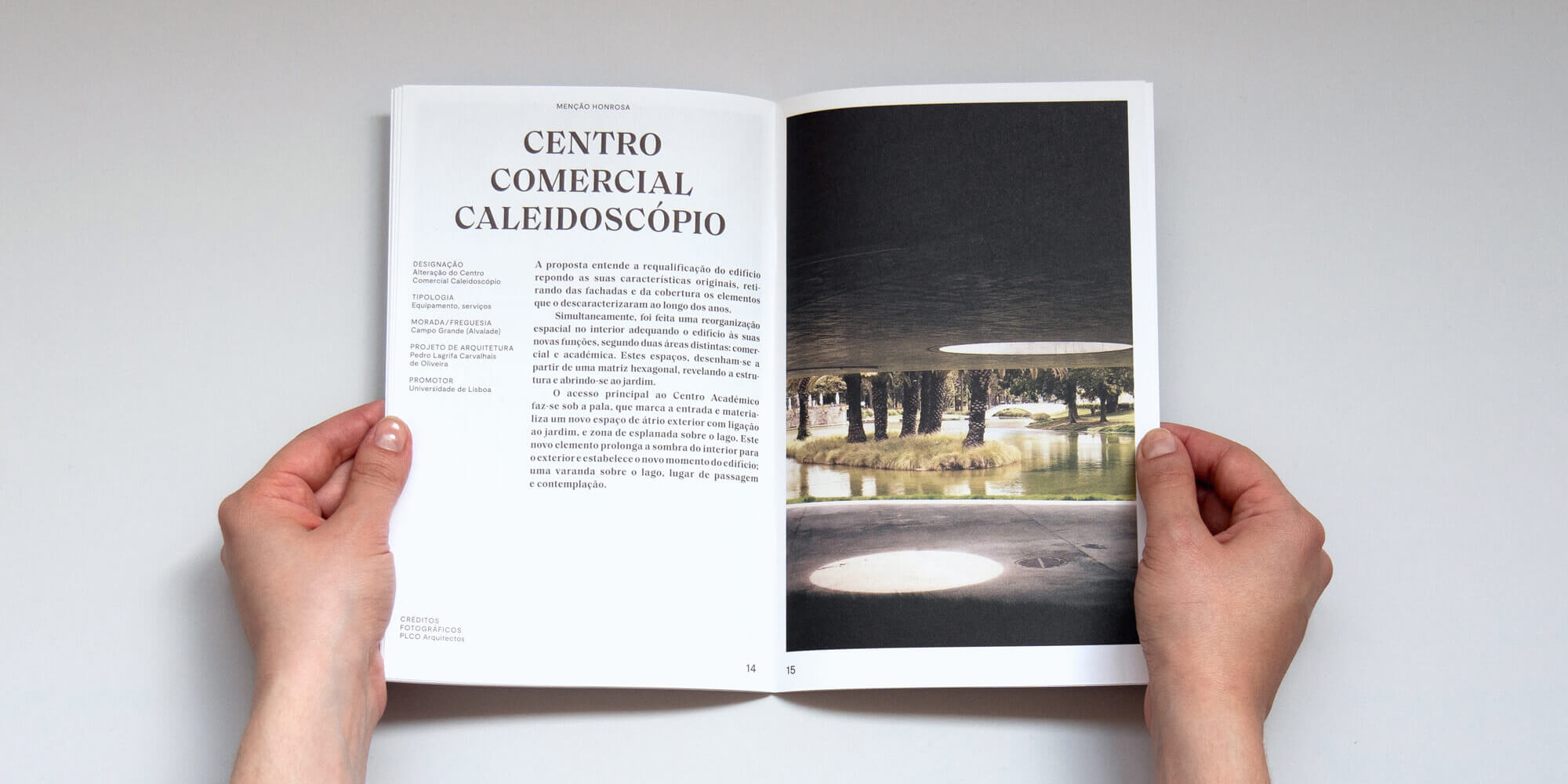 Raquel Guerreiro Work