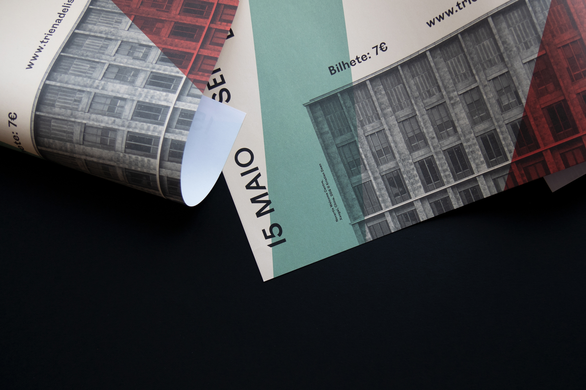 Raquel Guerreiro Work