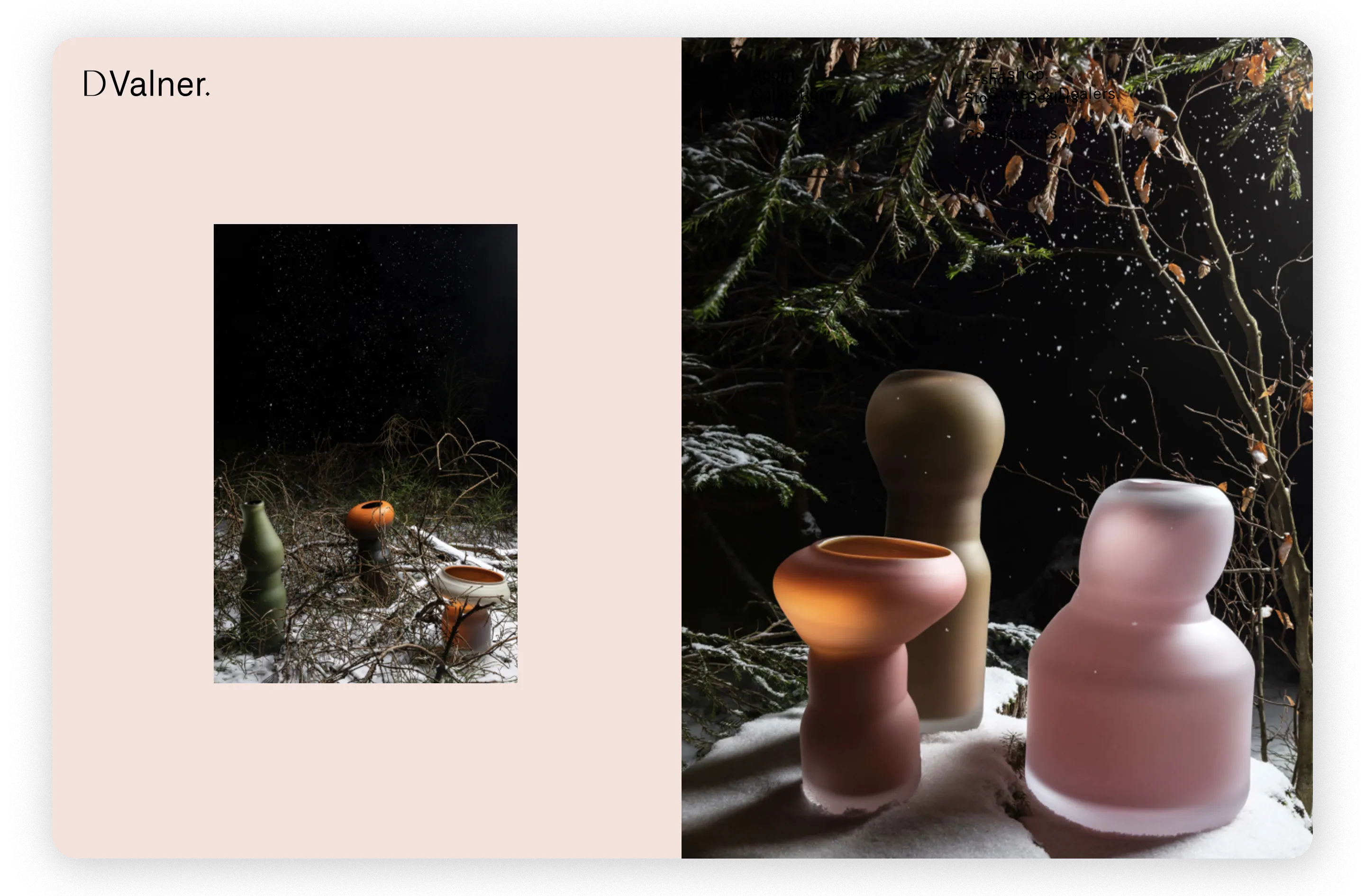  Raquel Guerreiro Work